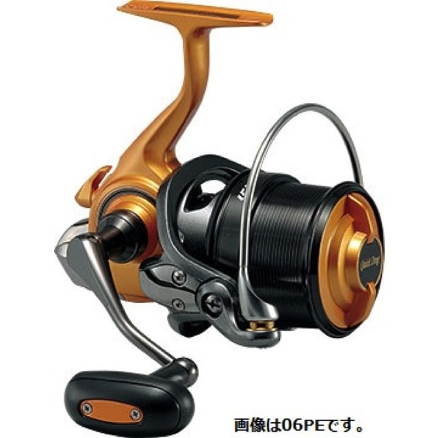 ダイワ ｄａｉｗａ キャスティズム ２５ ｑｄ １５ｐｅ スピニングリール 釣具のキャスティング Jre Mall店 Jre Pointが 貯まる 使える Jre Mall