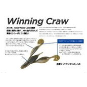 DSTYLE Winning Craw(EBjON[) 3.6C` Op/`[g
