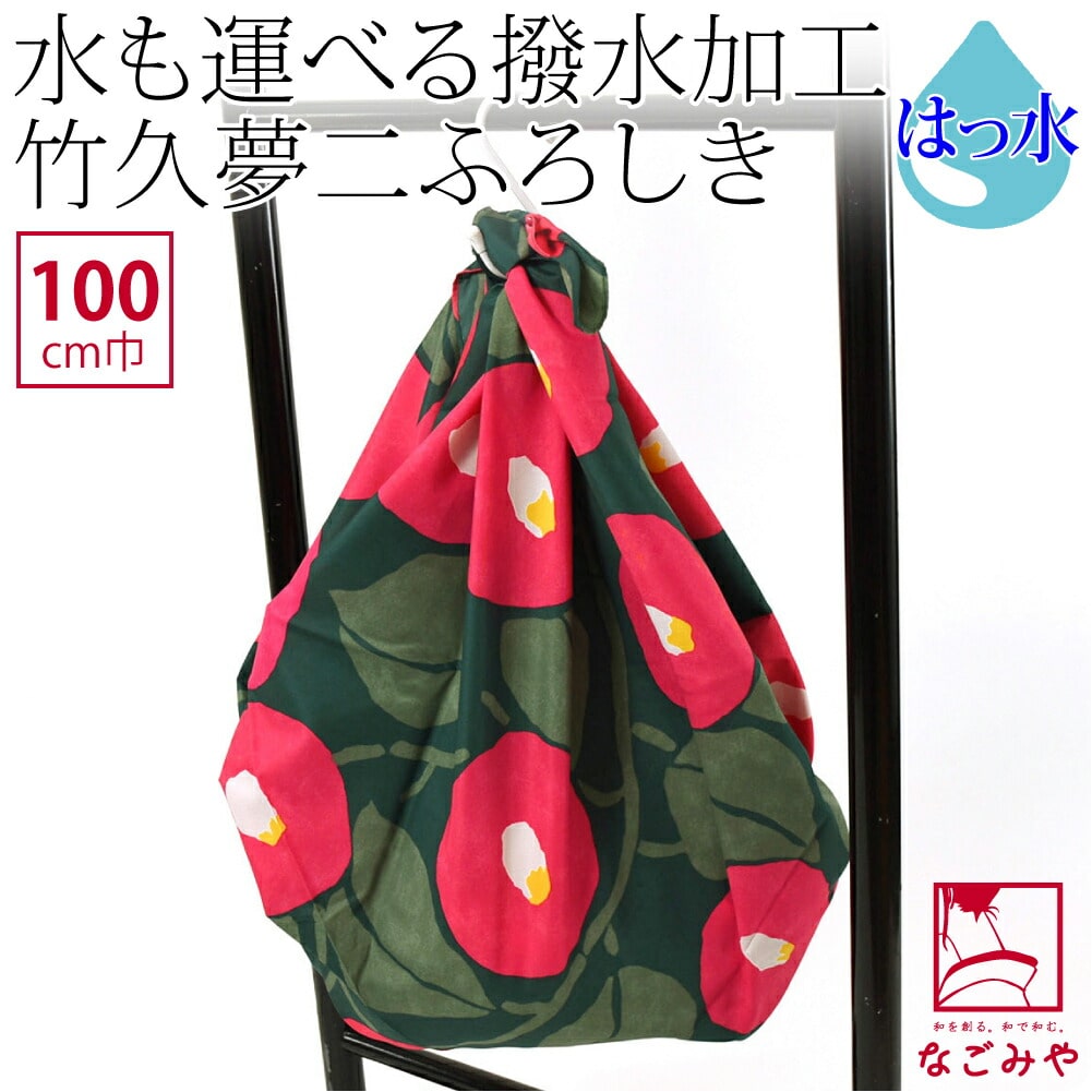 美品】バックドロップのみ。 せせこましい