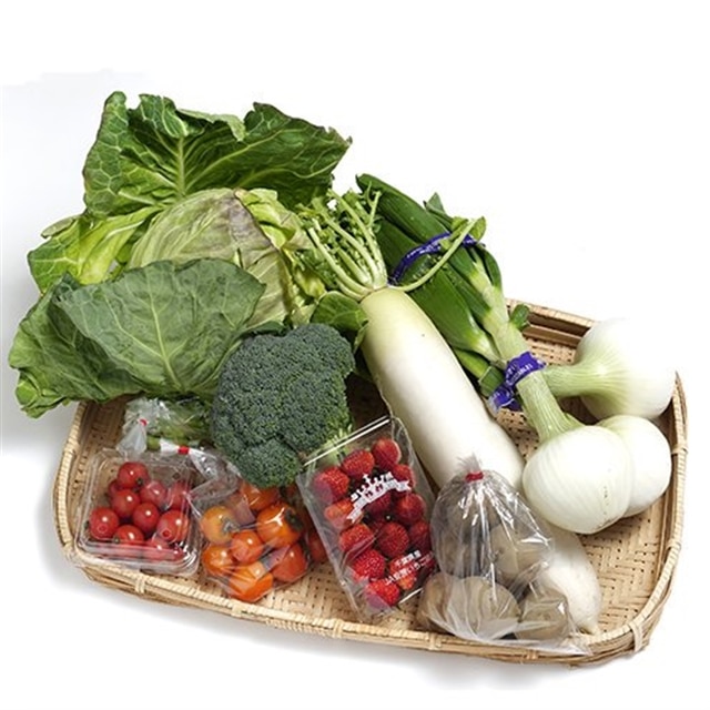 定期便】送料無料 千葉県南房総産 彩り野菜８種目Sサイズ 2-3名様向け 