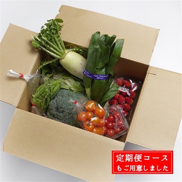 定期便】送料無料 千葉県南房総産 彩り野菜８種目Sサイズ 2-3名様向け 