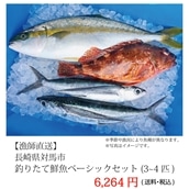 【漁師直送】長崎県対馬市 鮮魚 詰合せ　ベーシックセット(血抜き・エラ・内臓処理済み・ご希望により、３枚下ろしも可能です）