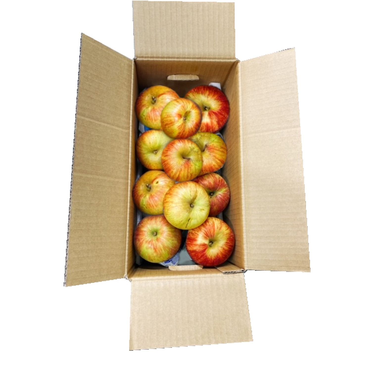【フードロス削減】 グルメ 食品 ベルメゾン 山形県産訳ありりんご 5kg（訳あり）