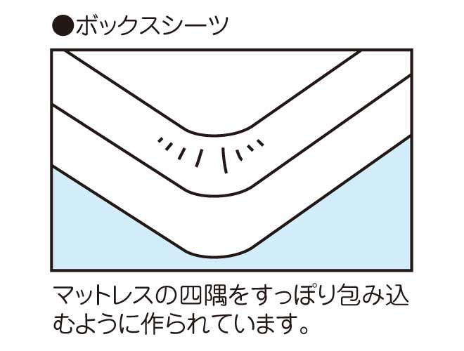 �{�b�N�X�V�[�c