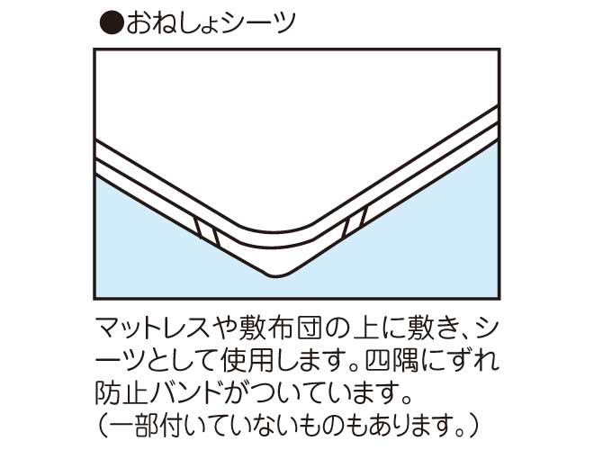 ���˂���V�[�c