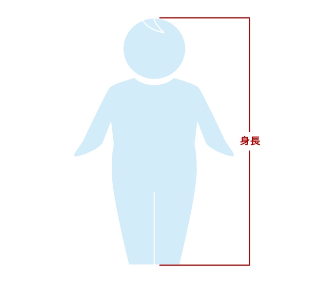 �x�r�[�T�C�Y�̑����