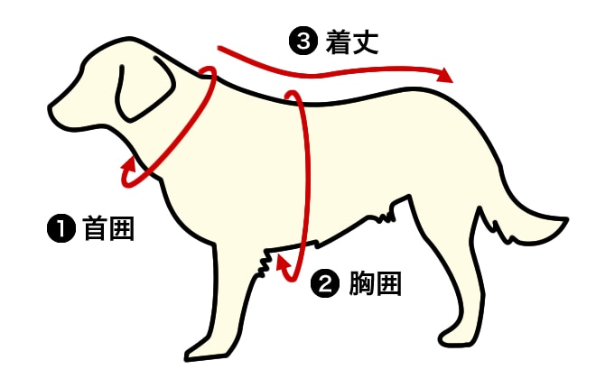 ���|���o�����i���g�����ʂ܂ł���^�C�v�j���p�̑����