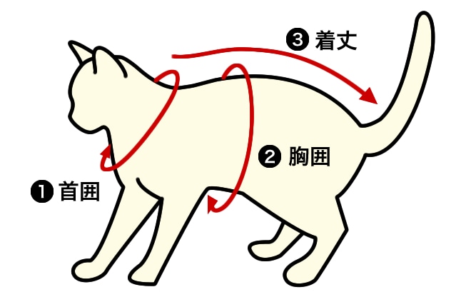 ���|���o�����i���g�����ʂ܂ł���^�C�v�j���p�̑����