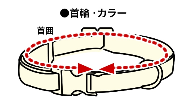 ��ցE�J���[