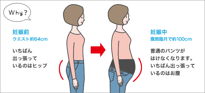 �D�P����ƁA�̌^������Ȃɂ��ς��I�@�D�P�O�i�E�G�X�g��64cm�j���D�P���i���͗Ռ��Ŗ�100cm�j