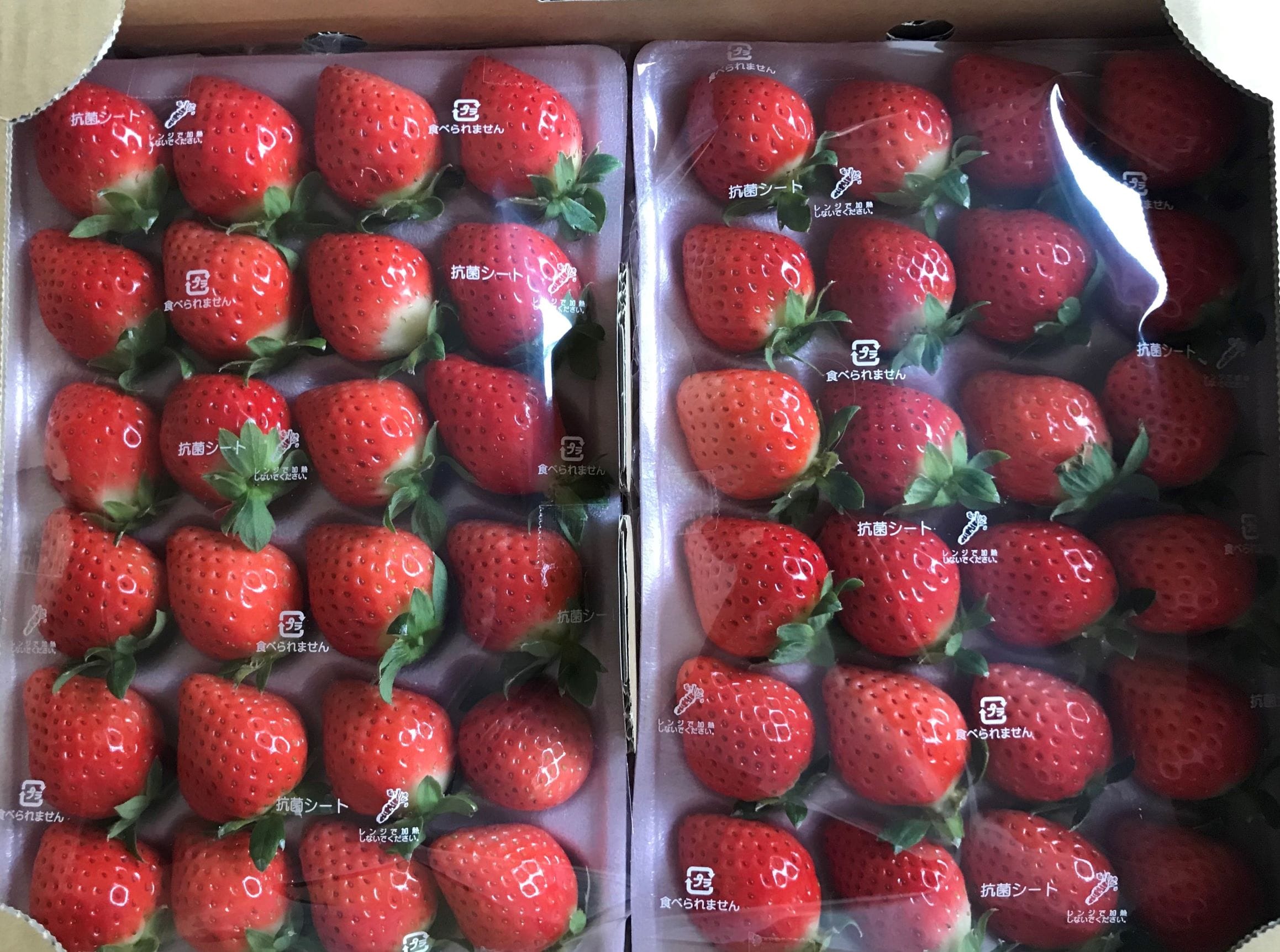 おおきな実 宮崎苺大玉 おおきみ お腹いっぱい１パック品 18粒 24粒 １６７ ２５０ ６０ 高 赤 Japanese Hinata Fruits Jre Pointが 貯まる 使える Jre Mall