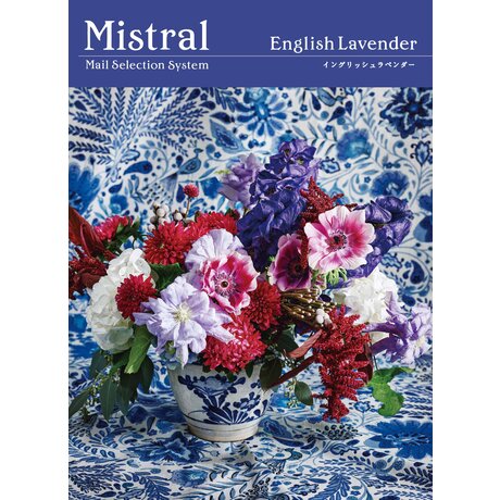 IׂMtg Mistral(~Xg)English Lavender(CObVx_[)