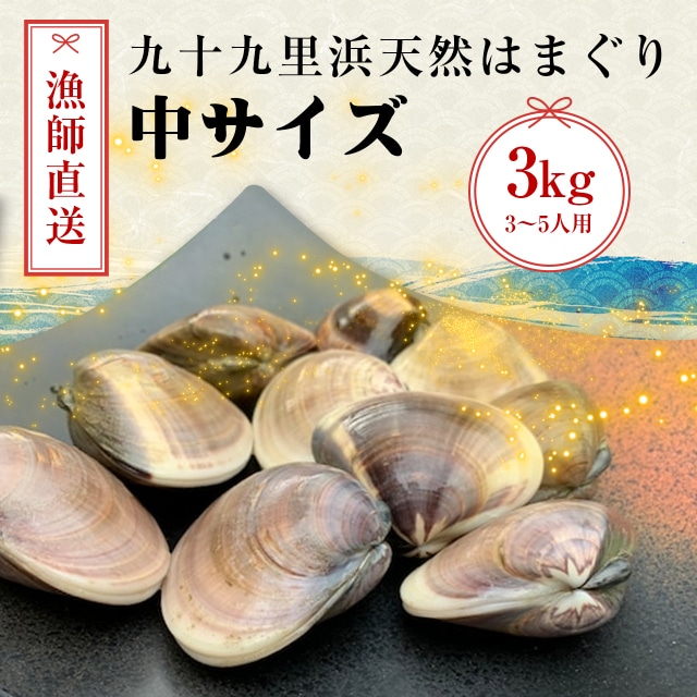 ハマグリ釿2寸8分