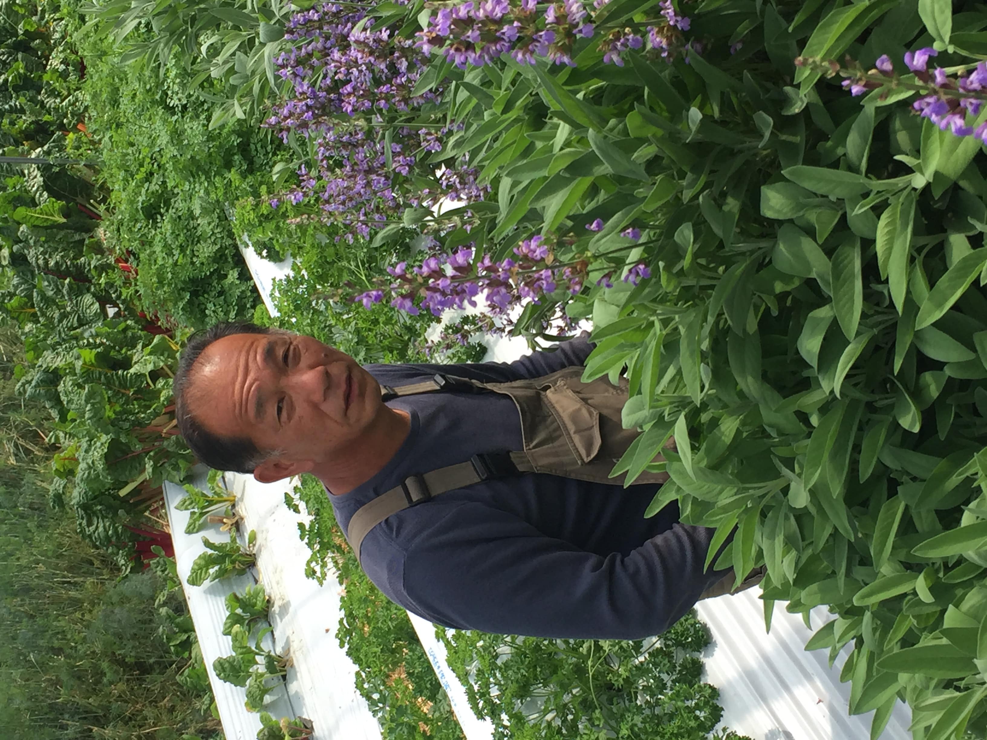 肉料理におすすめ フレッシュハーブ3種入り ローズマリー タイム スイートマジョラム 送料無料 和歌山から直送 農家の直売所 Jre Mall店 Jre Pointが 貯まる 使える Jre Mall