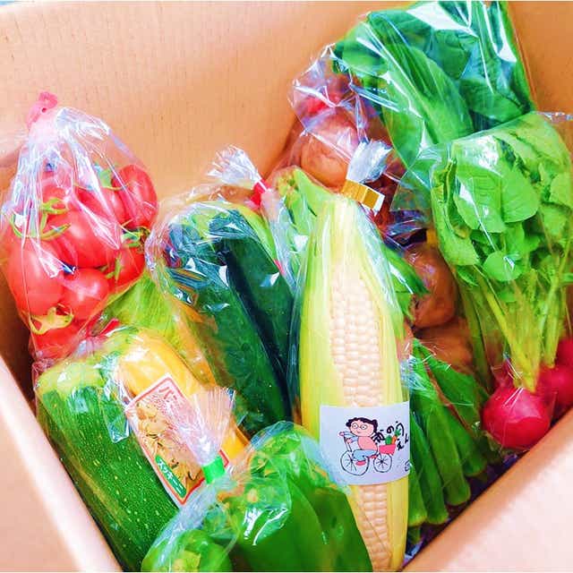 10種類以上！野菜詰め合わせBOX 【和歌山県から直送】