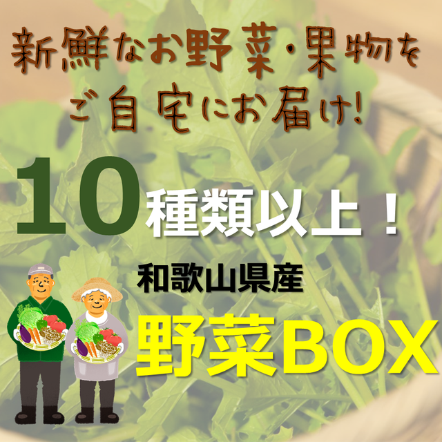 10種類以上！野菜詰め合わせBOX 【和歌山県から直送】