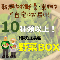 10種類以上！和歌山県産 お野菜詰め合わせBOX【和歌山県から直送！】【送料無料】