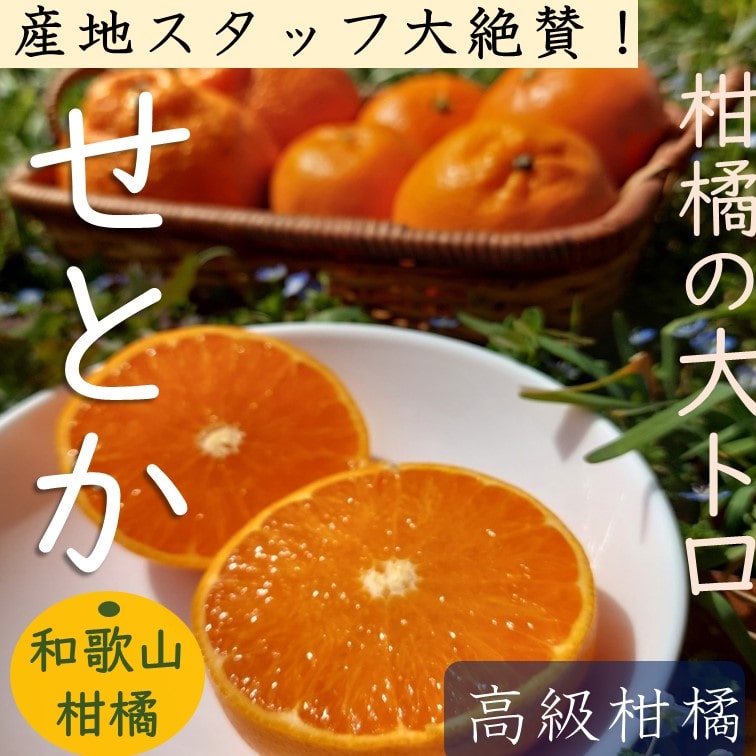 【予約販売】高級柑橘せとか 和歌山有田産【送料無料】【産地直送】