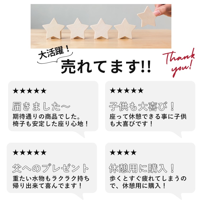 ショッピングカート おしゃれ 通販 保冷 保温 Cocoro ココロ キャリーカート イス付き キャリーバッグ 折りたたみ椅子付き キャリーケース 買い物カート キャリー お買い物バッグ Morry モリー ショッピングカートチェア アウトドア レジャー 行楽 運動会 お花見