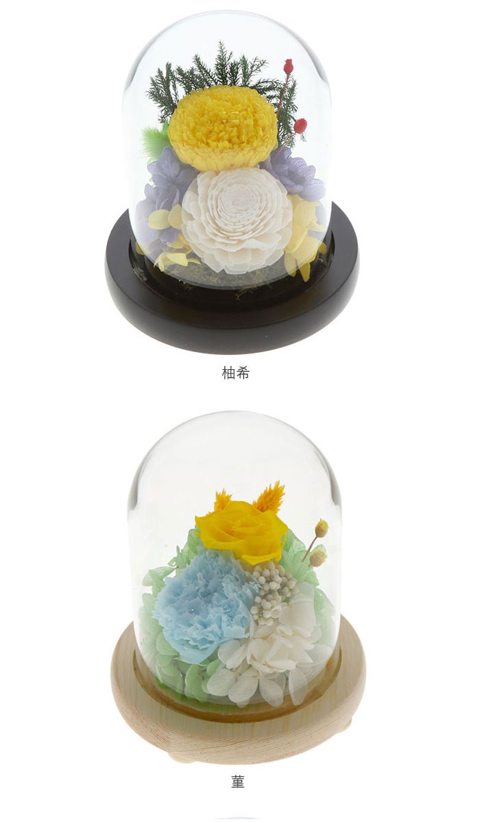 プリザーブドフラワー ガラスドーム 通販 花 枯れない 仏花 仏壇 お供え お盆 お悔み花 彩華 花器付き フラワーギフト プレゼント 誕生日 退職祝い ブリザードフラワー 母の日 敬老の日 インテリア C 清香 Backyard Family Jre Mall