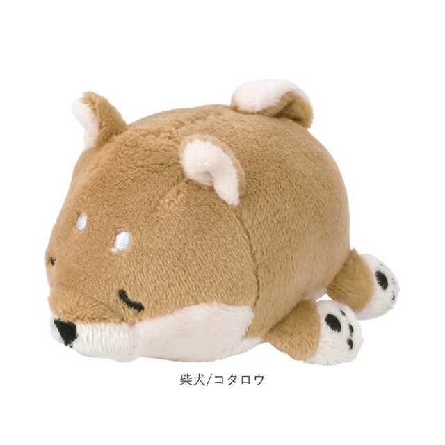ぬいぐるみ 猫 犬 通販 てのひらmocci てのひらモッチ てのひらもっち ねむねむ 動物 アニマル 癒し かわいい もちもち ふわふわ マスコット にぎにぎ ニギニギ 洗える 手洗い プチギフト 趣味 シロクマ ラッキー Backyard Family Jre Pointが 貯まる 使える Jre ぬいぐるみ 猫 犬 通販 てのひらmocci てのひらモッチ てのひらもっち ねむねむ 動物 アニマル 癒し かわいい もちもち ふわふわ マスコット にぎにぎ ニギニギ 洗える 手洗い プチギフト 趣味 シロクマ ラッキー Backyard Family Jre Pointが 貯まる 使える Jre