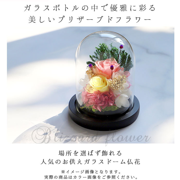 プリザーブドフラワー ガラスドーム 通販 花 枯れない 仏花 仏壇 お供え お盆 お悔み花 彩華 花器付き フラワーギフト プレゼント 誕生日 退職祝い ブリザードフラワー 母の日 敬老の日 インテリア C 清香 Backyard Family Jre Pointが 貯まる 使える Jre Mall