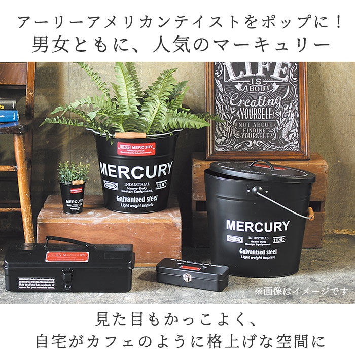 マーキュリー バケツ 通販 おしゃれ ブリキ ガーデニング レギュラー シンプル Mercury 男前 ゴミ箱 ダストボックス ダストビン アメリカン かっこいい 収納 Diy 掃除用品 Mebubrrdレッド Backyard Family Jre Pointが 貯まる 使える Jre Mall
