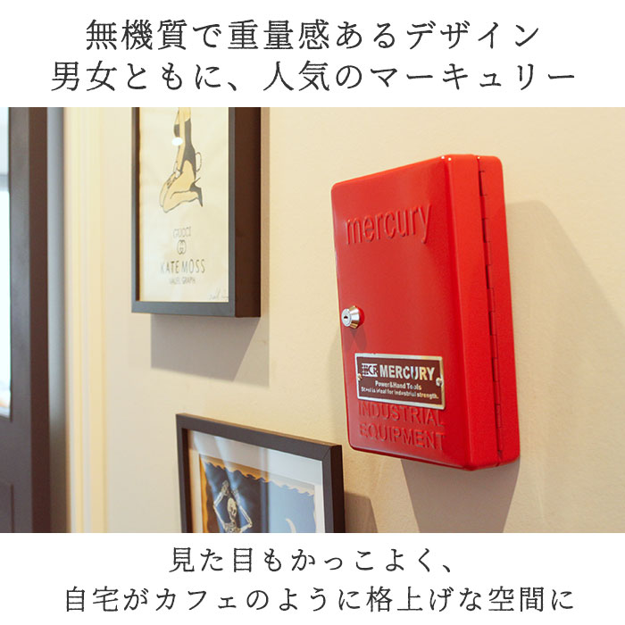 キーボックス 壁掛け おしゃれ 通販 マーキュリー 雑貨 キーキャビネット 鍵付き キーフック キーbox 玄関 収納 レトロ カラフル アメリカン スチール 丈夫 頑丈 Key Cabinet Mercury Mekeca キーボックス Mu マスタード Backyard Family Jre Pointが 貯まる