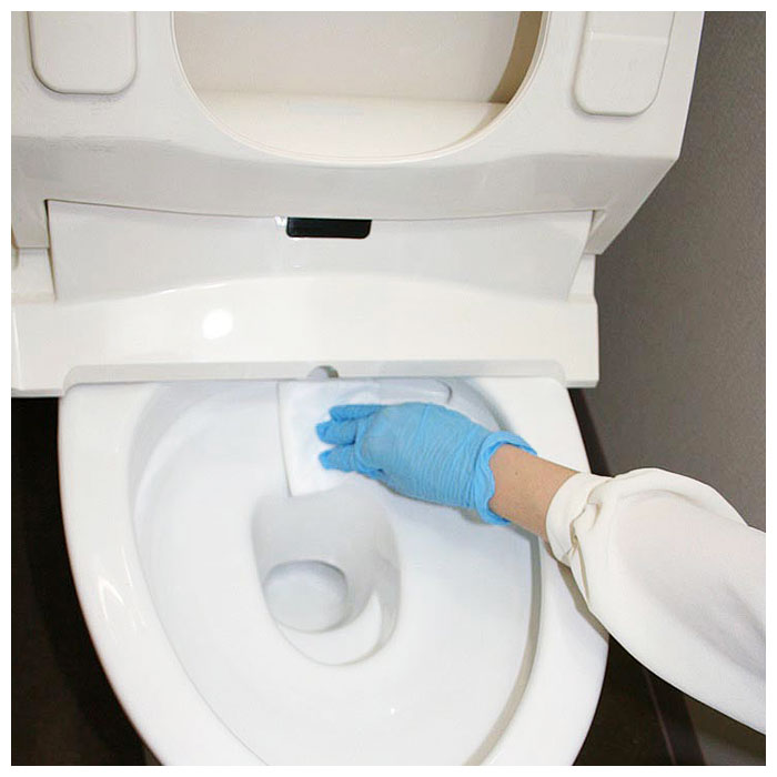 トイレ用 掃除用品 通販 トイレコーティング剤 トイレ掃除 おそうじプロのキレイシリーズ コーティング剤 和気産業 水回り トイレクリーナー 水まわり クリーナー 便器 洗剤 そうじ 年末 大掃除 掃除 グッズ Ctg003 トイレ用 Backyard Family Jre Pointが 貯まる