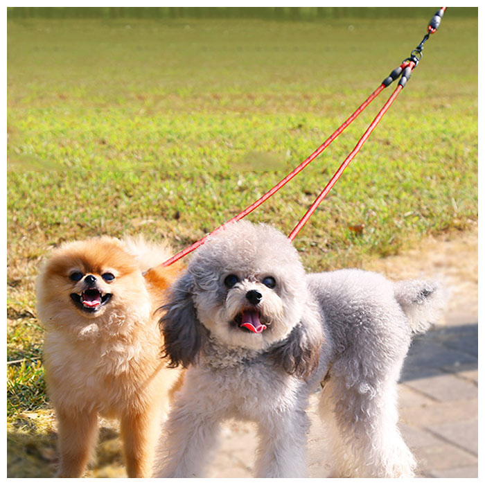 【色: パープル】skyvolare リード 犬 犬用 小型 中型 大型 犬用リ