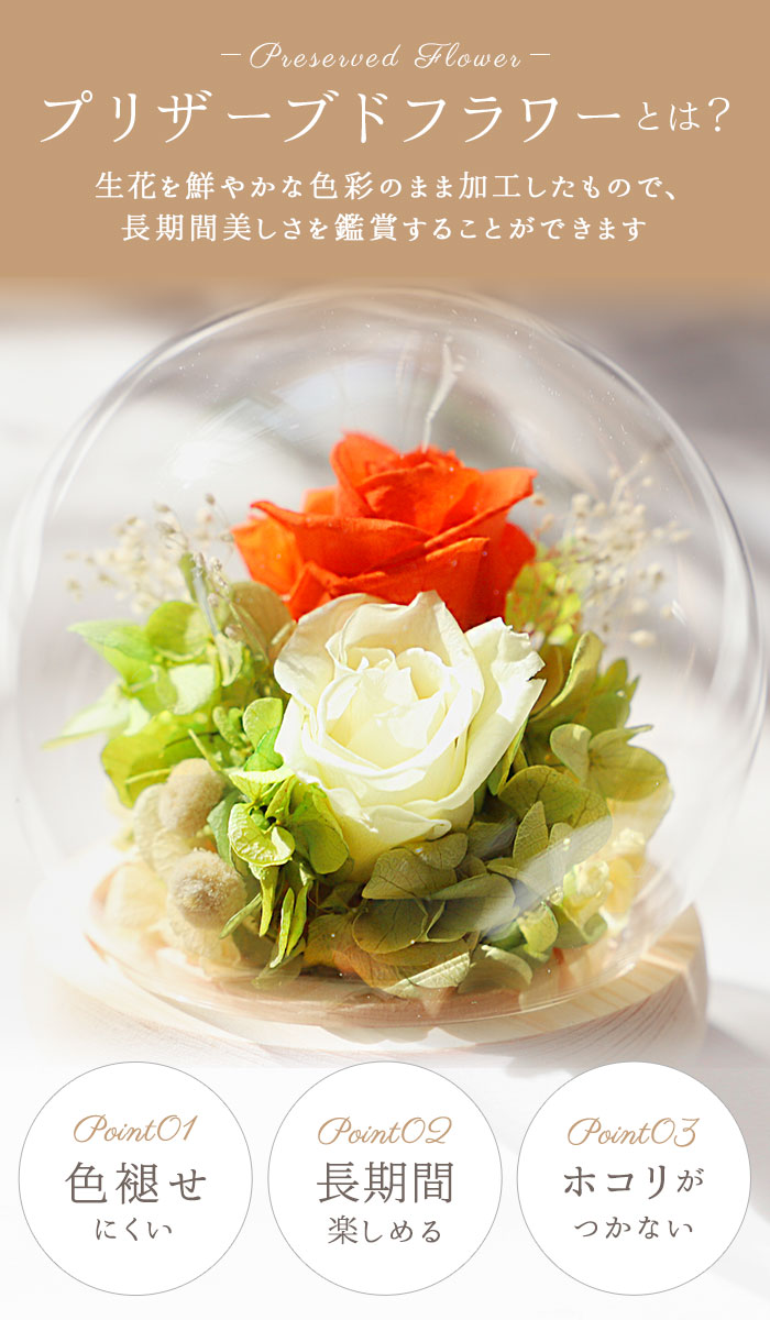 プリザーブドフラワー ガラスドーム 通販 フラワーアレンジメント おしゃれ 母の日 誕生日 記念日 ギフト プレゼント 贈り物 スフィアガラスドーム アーティフィシャルフラワー 可愛い 綺麗 球体 インテリア 花 B レッド Backyard Family Jre Pointが 貯まる