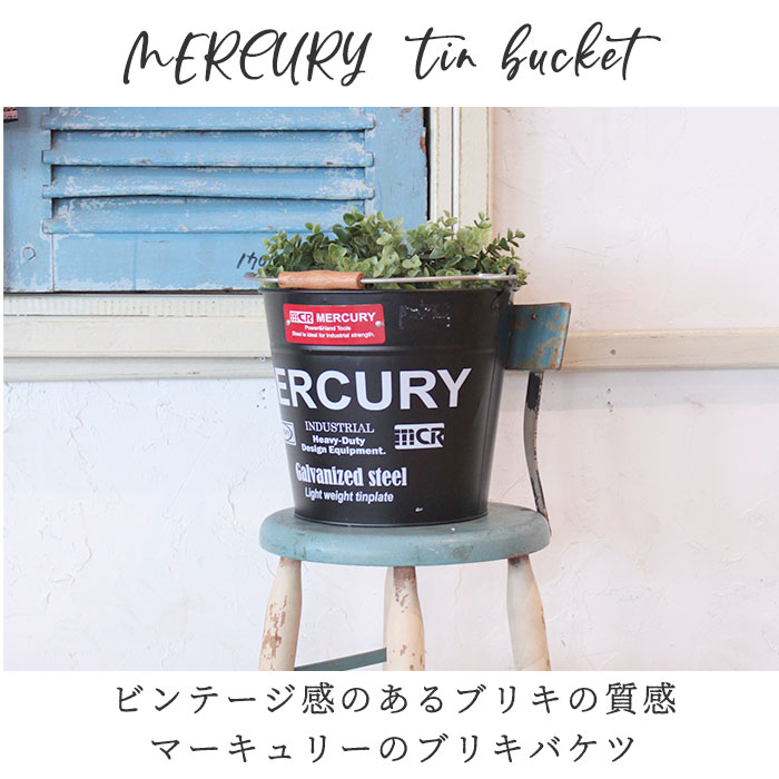 マーキュリー バケツ 通販 おしゃれ ブリキ ガーデニング レギュラー シンプル Mercury 男前 ゴミ箱 ダストボックス ダストビン アメリカン かっこいい 収納 Diy 掃除用品 Mebubrrdレッド Backyard Family Jre Pointが 貯まる 使える Jre Mall