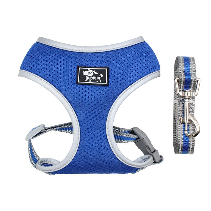 犬 リード ハーネス セット 通販 ハーネスリード 小型犬 可愛い 胴輪 犬用 中型犬 ペット用品 いぬ おしゃれ 散歩 反射 丈夫 シンプル かわいい お散歩 Lサイズ ブルー Backyard Family Jre Pointが 貯まる 使える Jre Mall