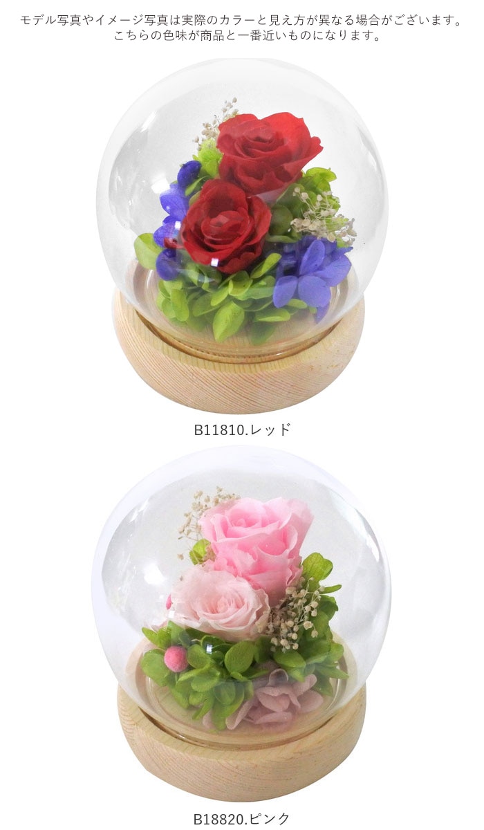 プリザーブドフラワー ガラスドーム 通販 フラワーアレンジメント おしゃれ 母の日 誕生日 記念日 ギフト プレゼント 贈り物 スフィアガラスドーム アーティフィシャルフラワー 可愛い 綺麗 球体 インテリア 花 B180 ピンク Backyard Family Jre Pointが 貯まる