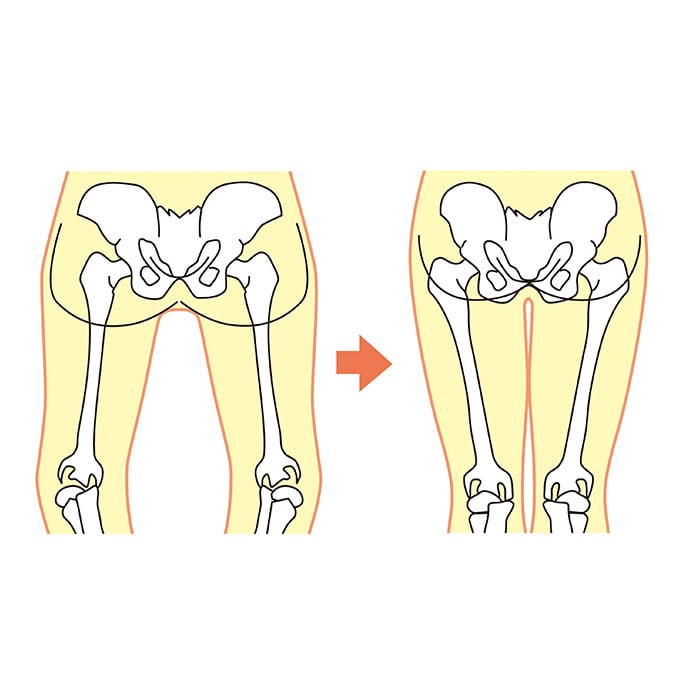 骨盤矯正ベルト 通販 骨盤矯正 コルセット 骨盤ベルト 産後 骨盤 安定 ベルト 3重 産後ケア 引き締め メッシュ 薄い 蒸れにくい レディース骨盤3 骨盤用 サポーター 矯正グッズ Ll 3l ラベンダー Backyard Family Jre Pointが 貯まる 使える Jre Mall