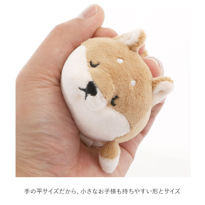 ぬいぐるみ 猫 犬 通販 てのひらmocci てのひらモッチ てのひらもっち ねむねむ 動物 アニマル 癒し かわいい もちもち ふわふわ マスコット にぎにぎ ニギニギ 洗える 手洗い プチギフト 趣味 シロクマ ラッキー Backyard Family Jre Pointが 貯まる 使える Jre