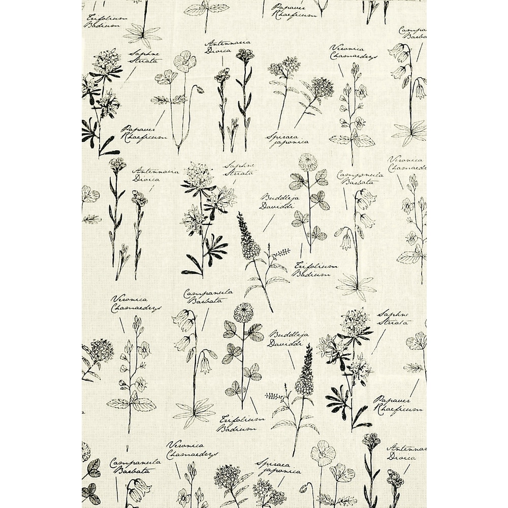 マルチカバー ソファー 夏 通販 おしゃれ ベッドカバー ソファカバー 目隠し カーテン ビデオ会議 背景 シンプル 綿 コットン インド綿 シック モノトーン Mono イラスト ファブリック Key Stone キーストーン Mucomoflフラワー Backyard Family Jre Pointが 貯まる