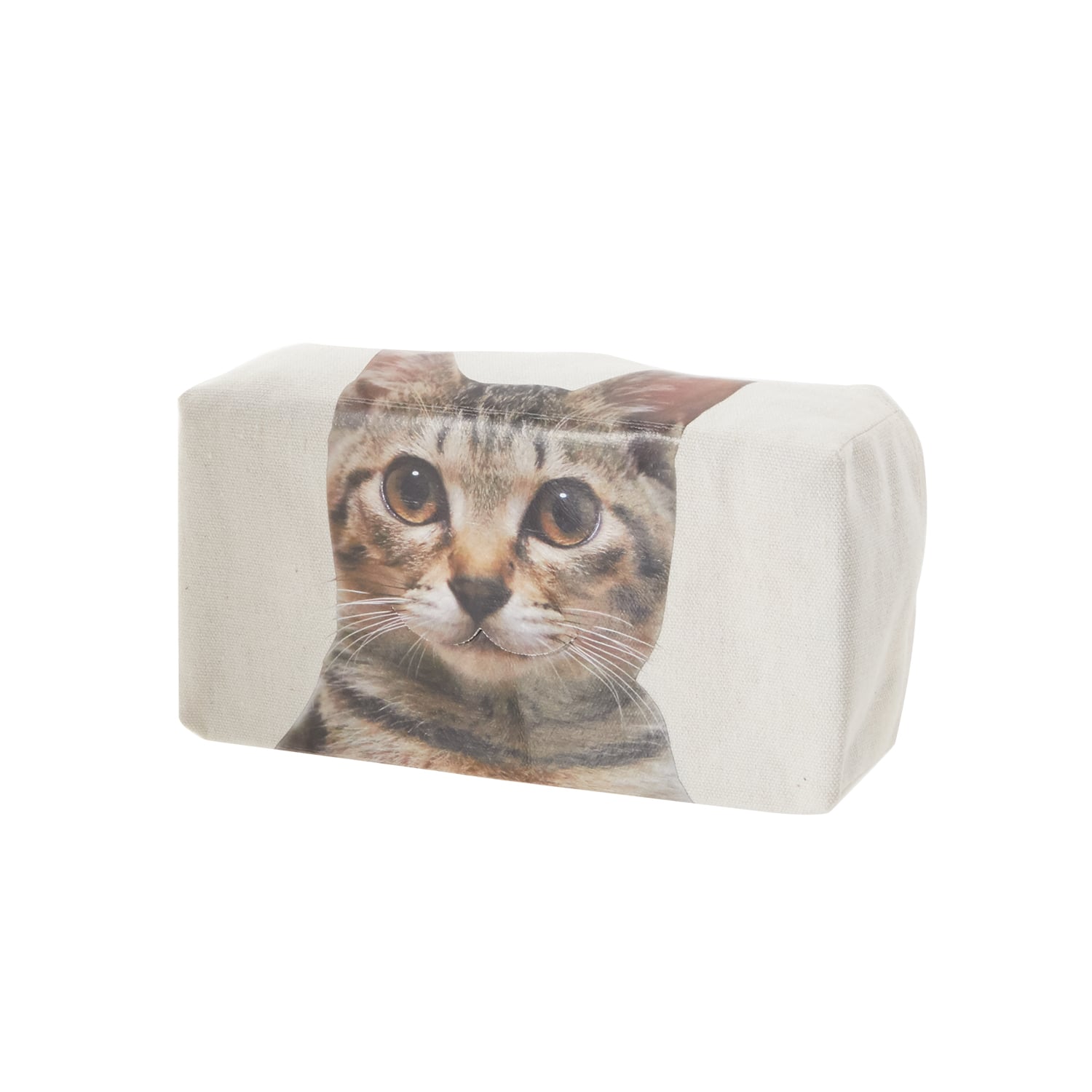 ティッシュケース 通販 箱ティッシュカバー 箱ティッシュケース かわいい カワイイ キジトラ 茶トラ ハチワレ ユニーク リアル猫 ボックスティッシュカバー 口からティッシュ ファンシーグッズ カバー リアル猫の口から インテリア 雑貨 猫 ねこ ネコ 車用品 カー用品