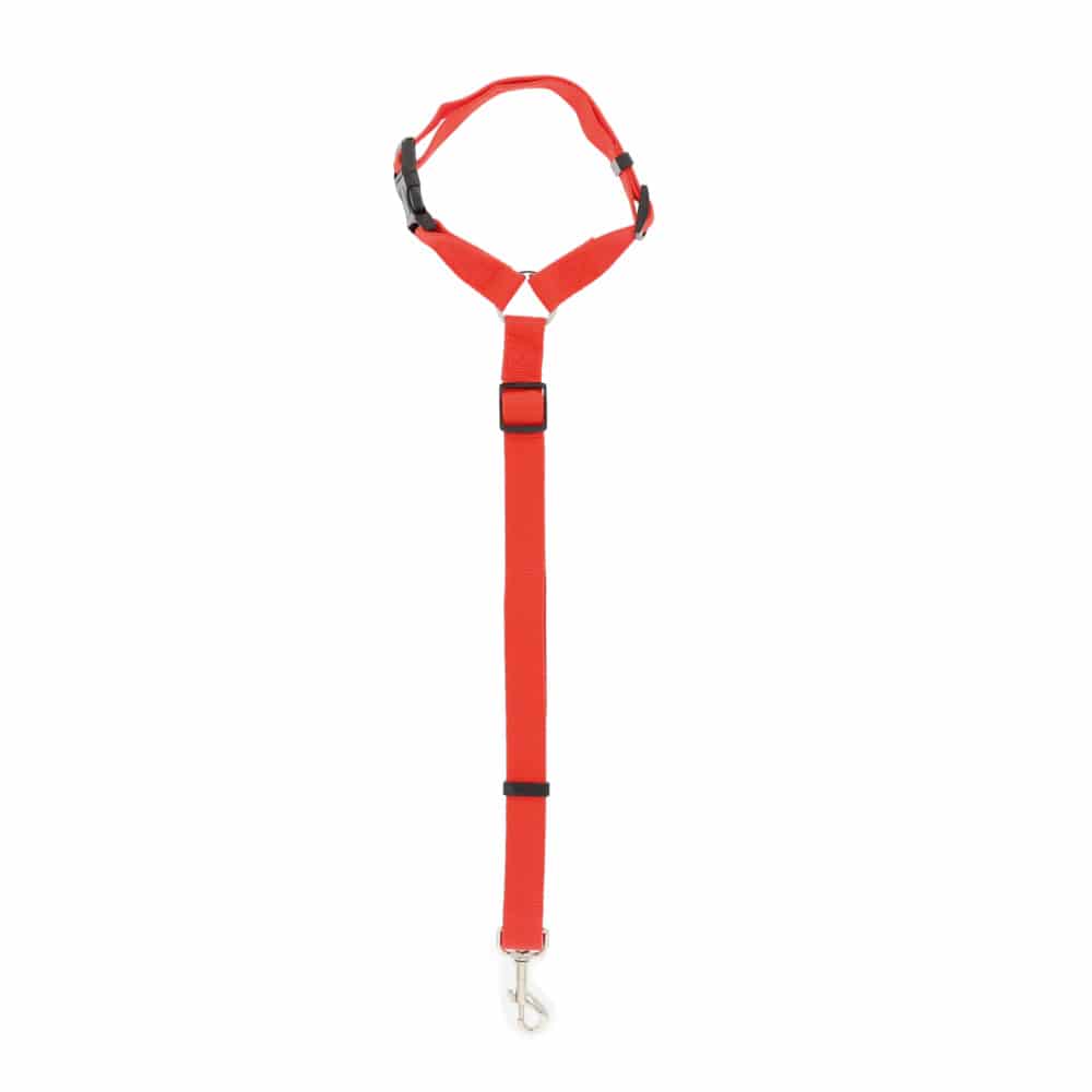 犬用 シートベルト 通販 ハーネス 犬 車用 リード 安全ベルト ドライブ 小型犬 中型犬 飛び出し防止 猫 ペットグッズ ドライブグッズ カー用品 ペット用品 犬用品 ハーネス 簡単装着 レッド Backyard Family Jre Pointが 貯まる 使える Jre Mall 犬用 シートベルト 通販 ハーネス 犬 車用 リード 安全ベルト ドライブ 小型犬 中型犬 飛び出し防止 猫 ペットグッズ ドライブグッズ カー用品 ペット用品 犬用品 ハーネス 簡単装着 レッド Backyard Family Jre Pointが 貯まる 使える Jre Mall