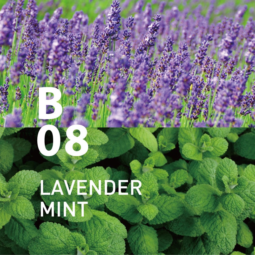 B08 ラベンダーミント 10ml アットアロマ Top Jre Pointが 貯まる 使える Jre Mall