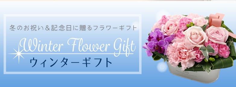 イイハナ ドットコム ウィンターギフト ランキング ポイント倍率 高い順 Jre Pointが 貯まる 使える Jre Mall