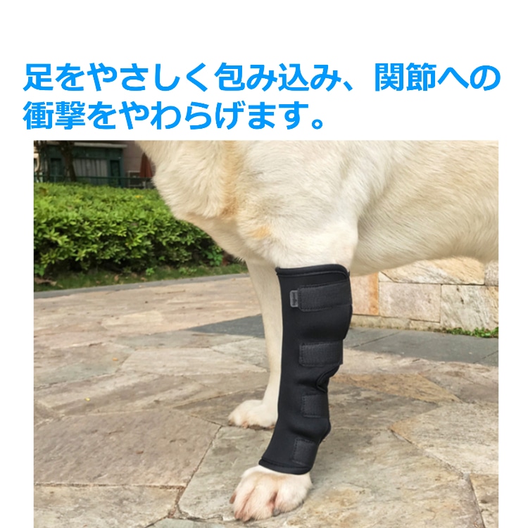 ペット 犬 足用 Mサイズ サポーター 1個 4サイズ ソフトタイプ ドッグ ひざ用 関節 膝 靭帯 脱臼 保護 プロテクター 介護 送料無料 Mサイズ Wealthy Life Jre Mall店 Jre Pointが 貯まる 使える Jre Mall
