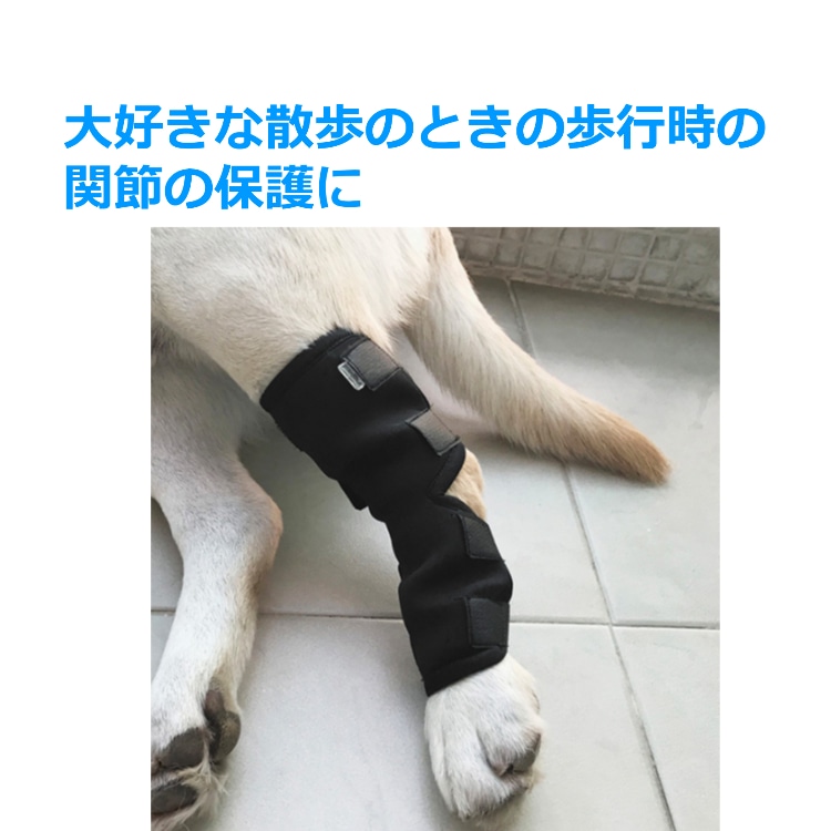 ペット 犬 足用 Sサイズ サポーター お得な2個セット 4サイズ ソフト