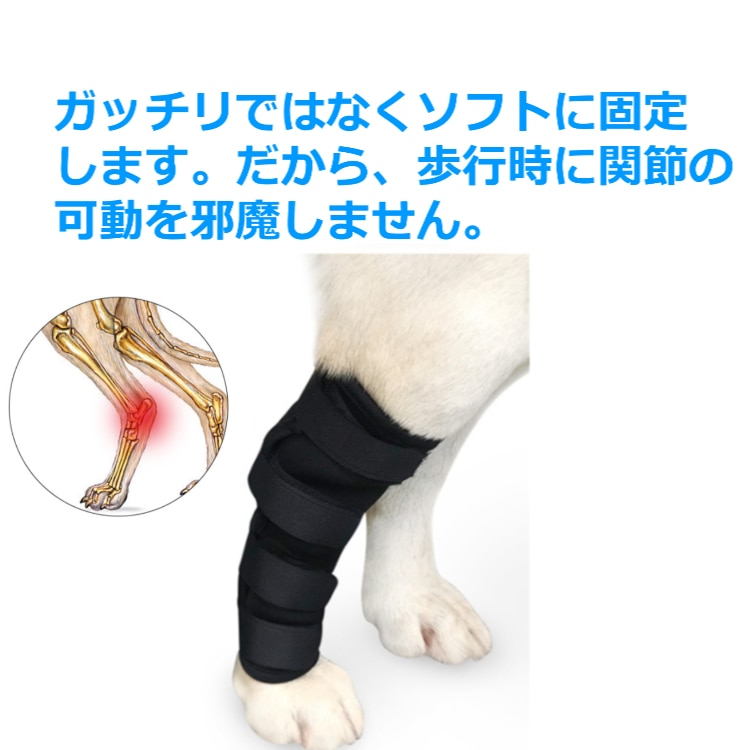 ペット 犬 足用 XLサイズ サポーター 1個 4サイズ ソフトタイプ ドッグ ひざ用 関節 膝 靭帯 脱臼 保護 プロテクター 介護 【送料無料】