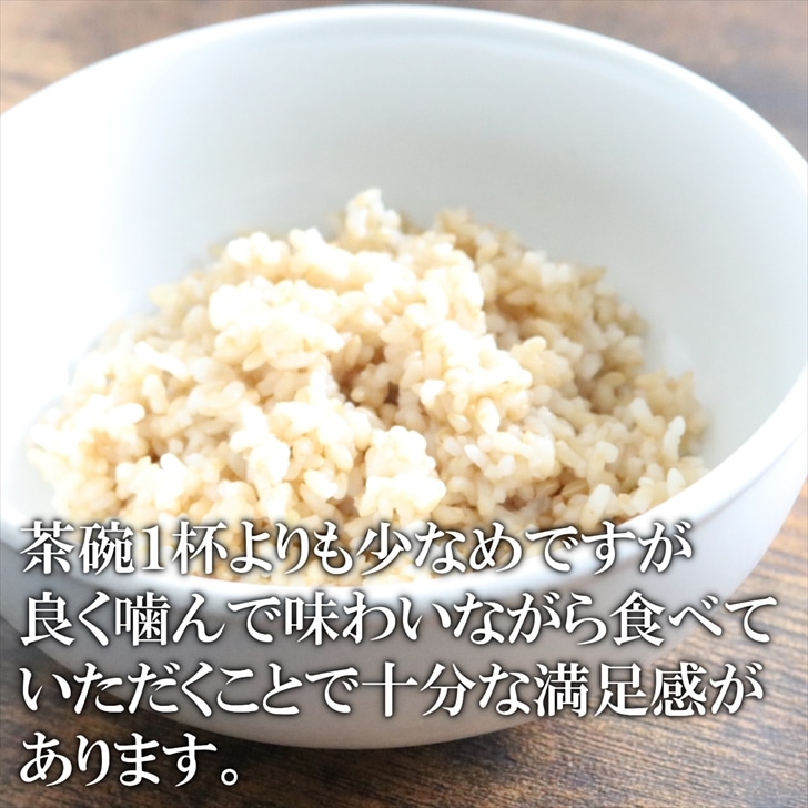 滋賀県産 オーガニック 玄米 レトルト ライスパック 160g ×10個セット げんまい