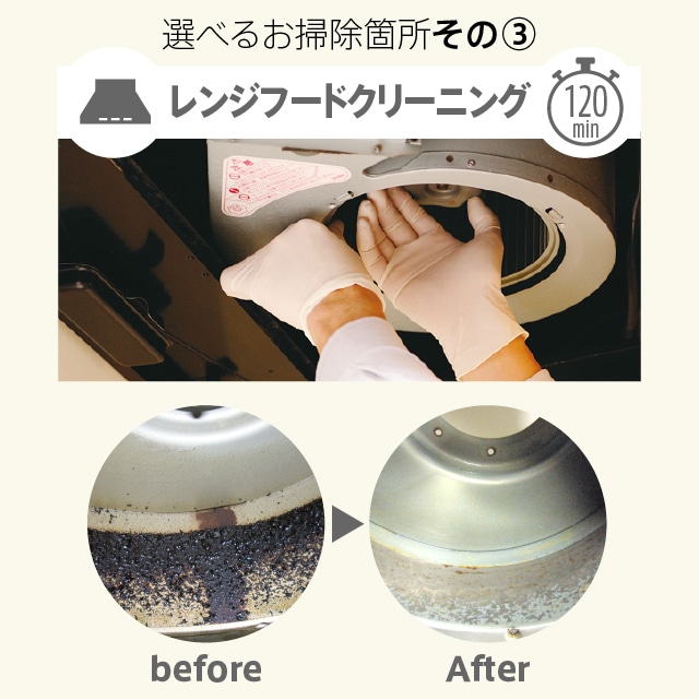 大感謝セール 送料込み カジタク らくらくお掃除セレクトパック 家事の宅配 ショッピング Www Farmersmarket Qa