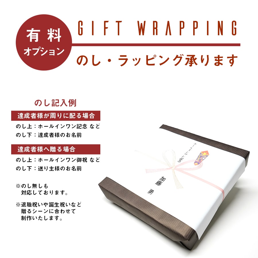 残りわずか トロフィー ホールインワン 記念品 送料無料 文字無料 ゴルフ トロフィー 高さ180mm ベストグロス エージシュート ゴルフ 優勝カップ トロフィー コンペ 記念 ゴルフトロフィ ゴルフコンペ ゴルフ祝い トロフィーゴルフ ホールインワン M Vt3393 即納