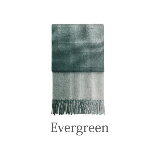 アライヴン インヴェル ブランケット 小 入りこん 