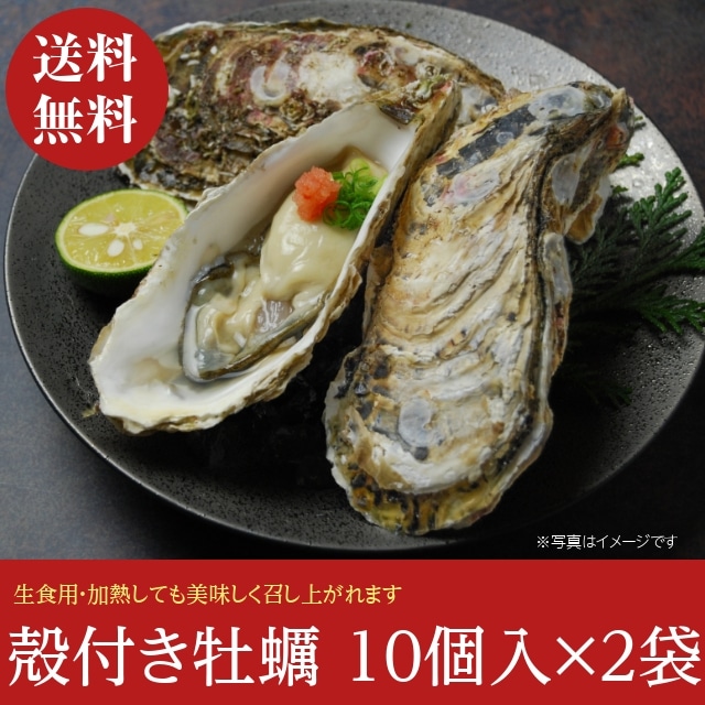 【送料無料】 生かき 生牡蠣 生食用 殻つき 10個入り2袋セット 冷凍