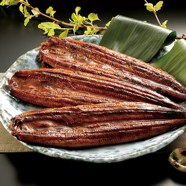 送料無料 九州産 うなぎの蒲焼 九州 うなぎ 鰻 産地直送満足便 グルメ王国 Jre Pointが 貯まる 使える Jre Mall